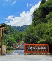 天井山林场