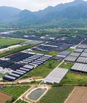 翁源江尾兰花产业园